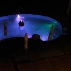 Silvanus Wellness & Konferencia Hotel Visegrád - Medence/kert