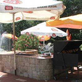 Silvanus Wellness & Konferencia Hotel, Visegrád - Medence/kert