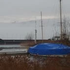 Hotel Golden Lake Resort Balatonfüred - Környék