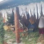 Szárcsa Hotel Székesfehérvár - Medence/kert