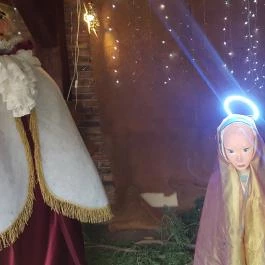 Szárcsa Hotel, Székesfehérvár - Egyéb