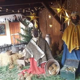 Szárcsa Hotel, Székesfehérvár - Egyéb