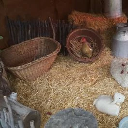 Szárcsa Hotel, Székesfehérvár - Egyéb