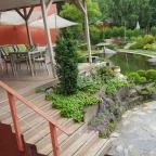 Szőnyi Garden Hotel Pest Budapest - Medence/kert