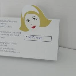 Hotel Yacht Wellness & Business Siófok - Egyéb