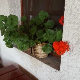 Kádárta Vendéglő Panzió Veszprém - Külső kép