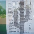 Kaktusz Büfé - Csopaki Strand Csopak - Étlap/itallap