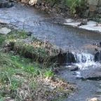 Kastélyhotel Sasvár Parádsasvár - Környék