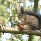 Kastélyhotel Sasvár Parádsasvár - Egyéb