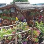 Kecskeköröm Csárda Tihany - Külső kép