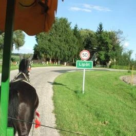 Kék Duna étterem Lipót - Külső kép