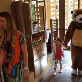 Kroko Bár Felsőtárkány - Belső