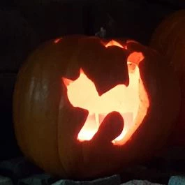 Kultúrmacska Kávézó Veszprém - Egyéb