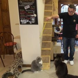 Kultúrmacska Kávézó Veszprém - Belső