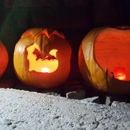 Kultúrmacska Kávézó Veszprém - Belső