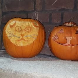 Kultúrmacska Kávézó Veszprém - Belső