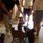 Kultúrmacska Kávézó Veszprém - Belső