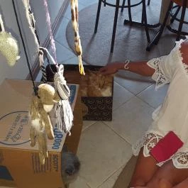 Kultúrmacska Kávézó Veszprém - Belső