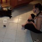 Kultúrmacska Kávézó Veszprém - Belső