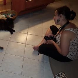 Kultúrmacska Kávézó Veszprém - Belső