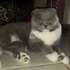 Kultúrmacska Kávézó Veszprém - Belső