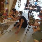 Kultúrmacska Kávézó Veszprém - Belső