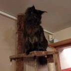 Kultúrmacska Kávézó Veszprém - Belső