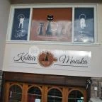 Kultúrmacska Kávézó Veszprém - Külső kép