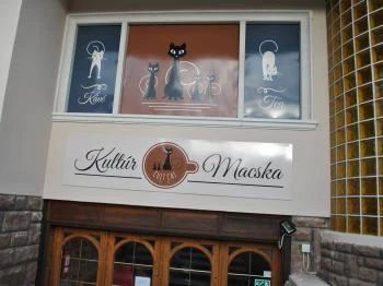 Kultúrmacska Kávézó Veszprém