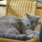 Kultúrmacska Kávézó Veszprém - Egyéb