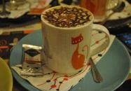 Kultúrmacska Kávézó Veszprém