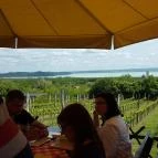 Laci Pince Csárda Vászoly - Egyéb