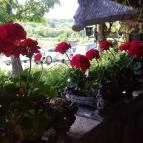 Laci Pince Csárda Vászoly - Egyéb