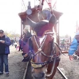 Magyar Vasúttörténeti Park Budapest - Egyéb