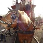 Magyar Vasúttörténeti Park Budapest - 