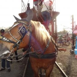 Magyar Vasúttörténeti Park Budapest - Egyéb