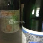 Magyarországi Palackozott Ásványvizek Gyűjteménye Parádfürdő - 