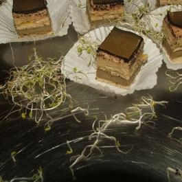 MenDan Étterem Zalakaros - Étel/ital