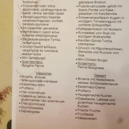 MenDan Étterem Zalakaros - Étlap/itallap