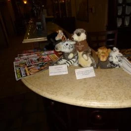 Mesés Shiraz Hotel Egerszalók - Belső