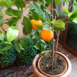 Mesés Shiraz Hotel Egerszalók - Belső