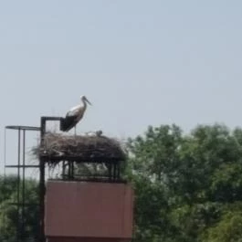 Mjus Resort & Thermal Park, Körmend - Környék