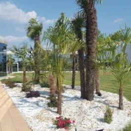 Mjus Resort & Thermal Park, Körmend - Külső kép