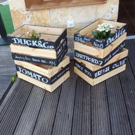 Nem Kacsa Kikötő Klub Balatonfüred - Egyéb