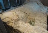 Cella Septichora Látogatóközpont - Ókeresztény Mauzóleum Pécs