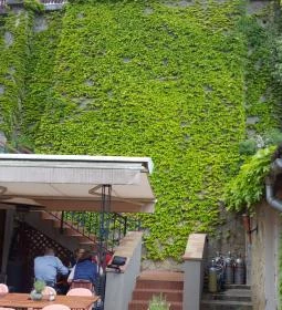 Oliva Hotel és Étterem