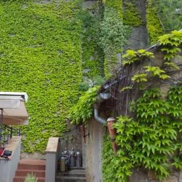 Oliva Hotel és Étterem, Veszprém - Külső kép