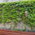 Oliva Hotel és Étterem Veszprém - Egyéb