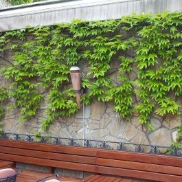 Oliva Hotel és Étterem, Veszprém - Egyéb