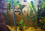 Öntöde Borozó-Söröző Szentkirályszabadja